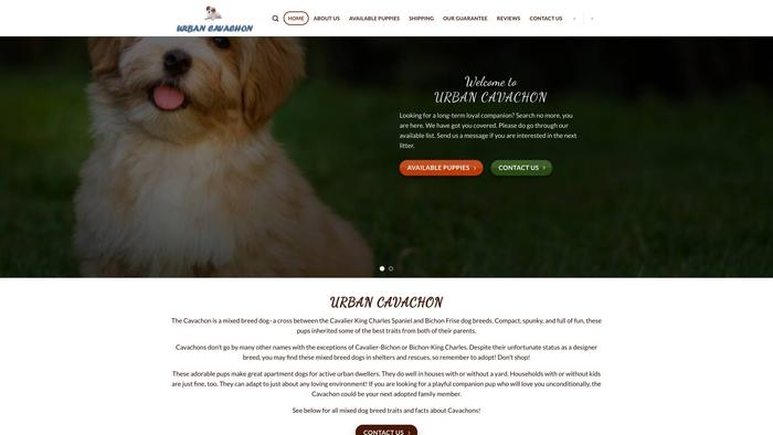 Urbancavachon.com - Cavachon Puppy Scam Review