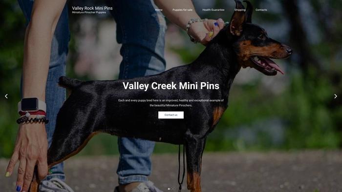 Valleyrockminipins.com - Doberman Pinscher Puppy Scam Review