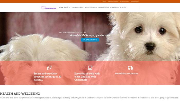 Vintinomaltesehome.com - Maltese Puppy Scam Review