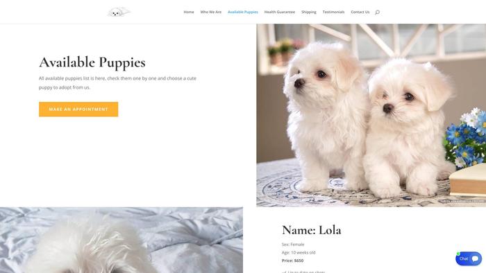 Vivomaltesekennels.com - Maltese Puppy Scam Review