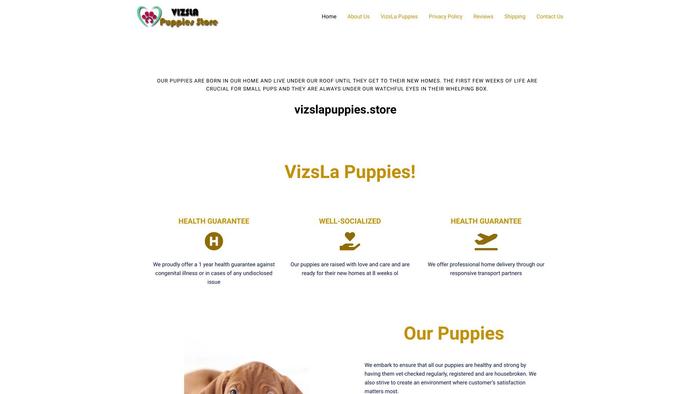 Vizslapuppies.store - Labrador Puppy Scam Review