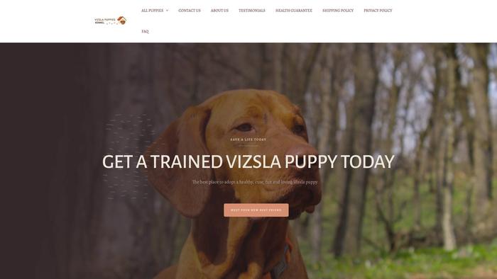 Vizslapuppieskennel.com - Labrador Puppy Scam Review