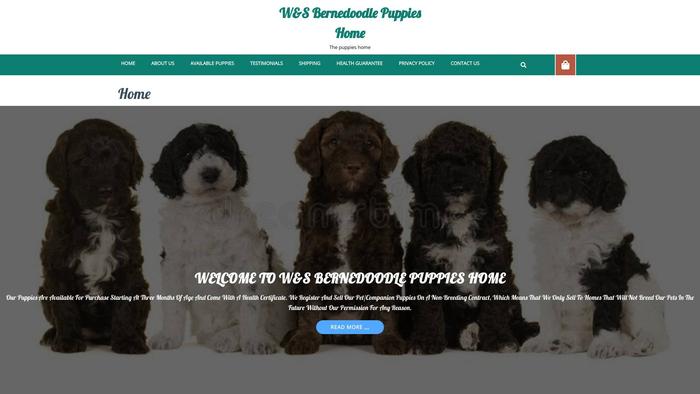 Wandsbernedoodle.com - Bernedoodle Puppy Scam Review