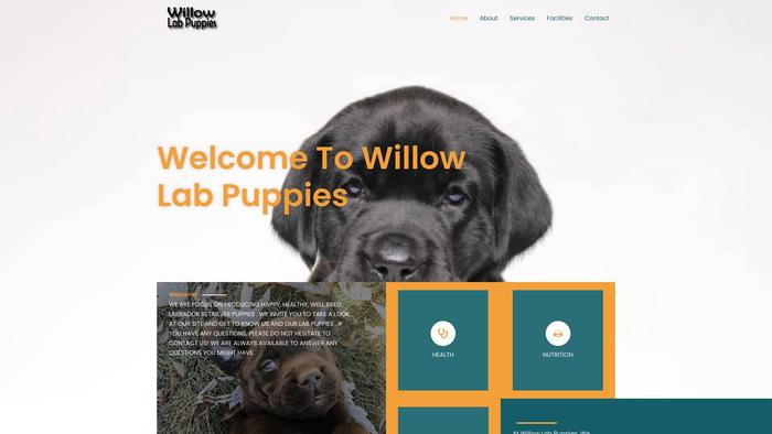 Willowlabpuppies.com - Labrador Puppy Scam Review