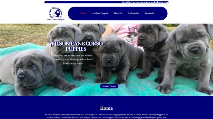 Wilsonscanecorsopuppieshome.com - Cane Corso Puppy Scam Review