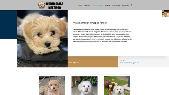 Worldclassmaltipoo.com - Maltipoo Puppy Scam Review