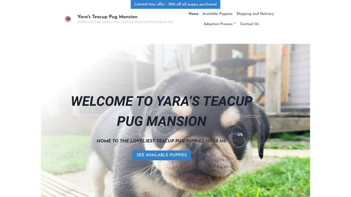 Yaraspugpuppies.com - Pug Puppy Scam Review