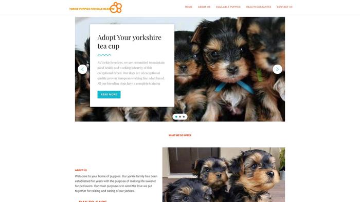 Yorkiepuppiesforsalenearme.com - Yorkshire Terrier Puppy Scam Review