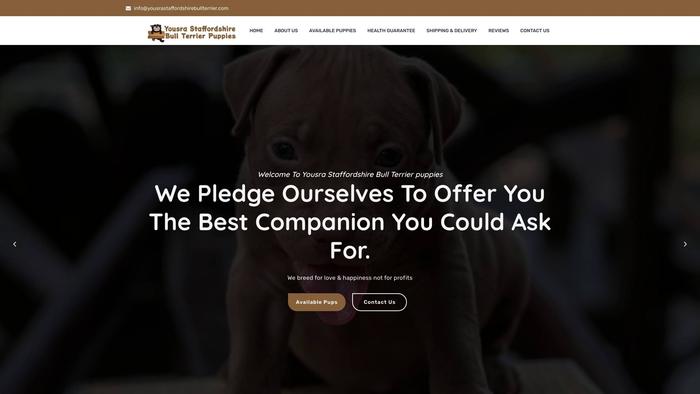 Yousrastaffordshirebullterrier.com - Terrier Puppy Scam Review