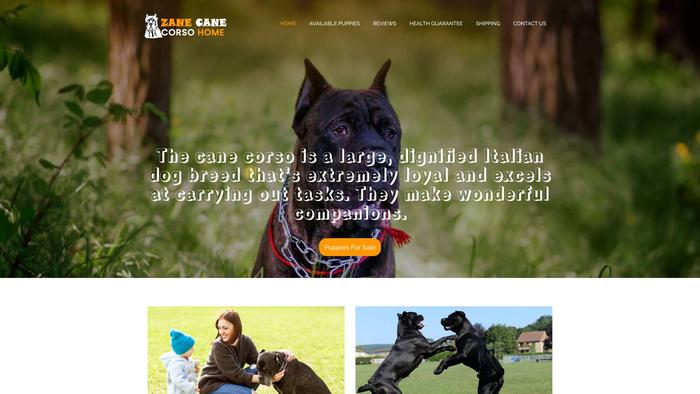 Zanecanecorsohome.com - Cane Corso Puppy Scam Review