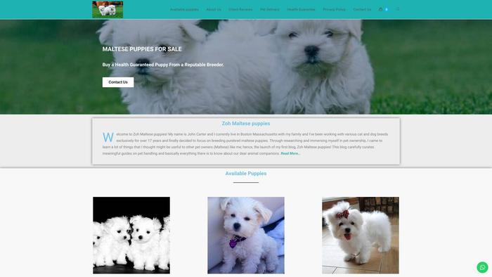 Zohmaltesepuppies.com - Maltese Puppy Scam Review