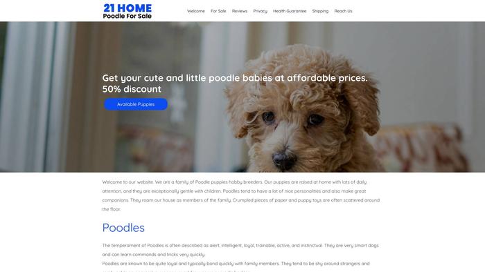 21homepoodleforsale.com - Poodle Puppy Scam Review