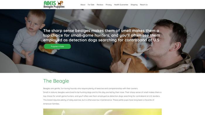 Abeisbeaglepuppies.com - Beagle Puppy Scam Review