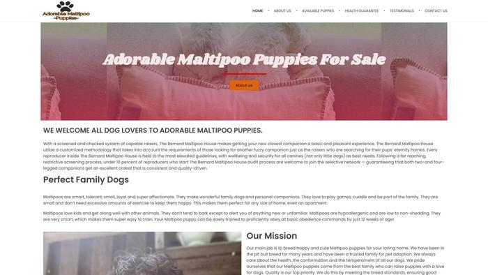 Adorable-maltipoopuppies.com - Maltipoo Puppy Scam Review