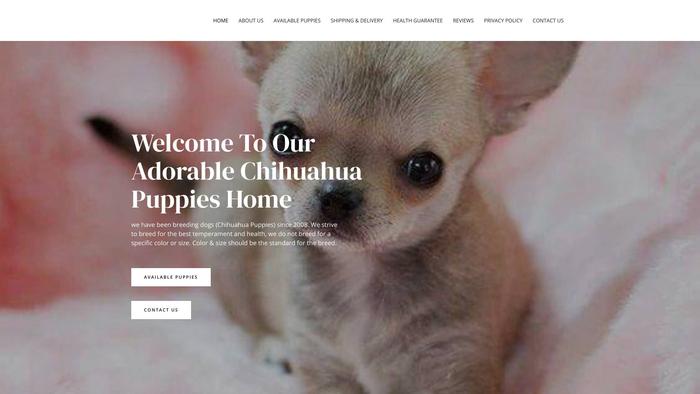 Adorablechihuahuapupps.com - Chihuahua Puppy Scam Review