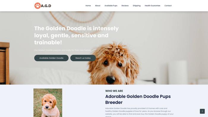 Adorablegoldendoodle.com - Golden Doodle Puppy Scam Review