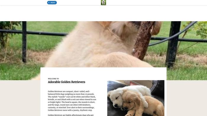 Adorablegoldenretrieverpuppy.com - Golden Retriever Puppy Scam Review