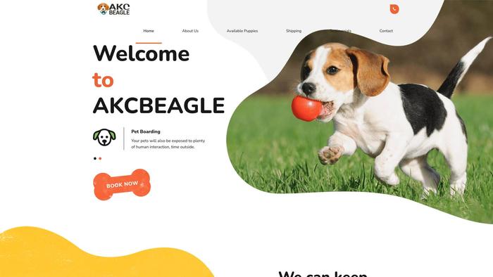 Akcbeagleforsale.com - Beagle Puppy Scam Review