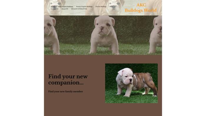 Akcbulldogsworld.com - Bulldog Puppy Scam Review