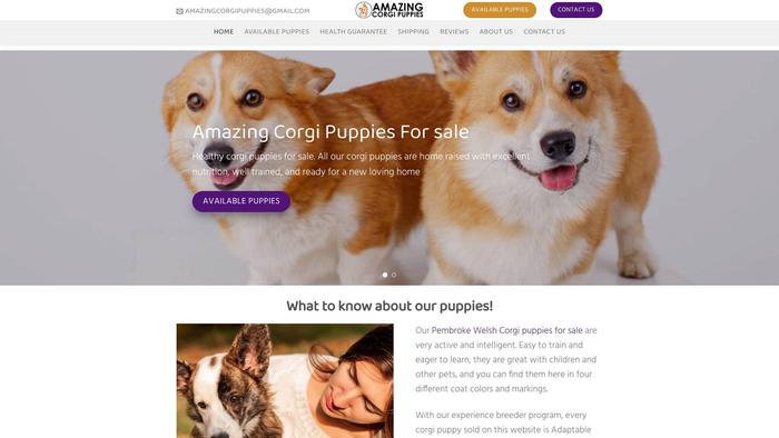 Amazingcorgipuppies.com - Corgi Puppy Scam Review