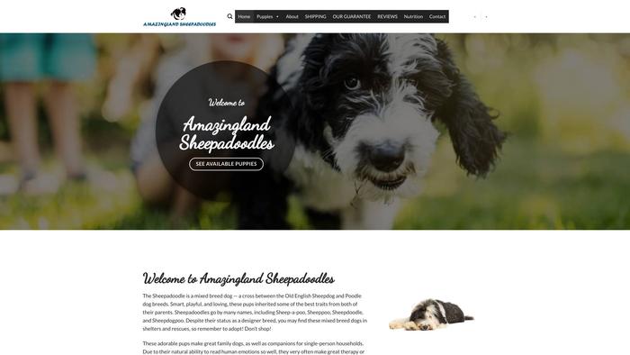 Amazinglandsheepadoodle.com - Labradoodle Puppy Scam Review