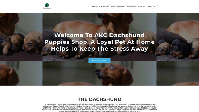 Amazingminidachshunds.com - Dachshund Puppy Scam Review