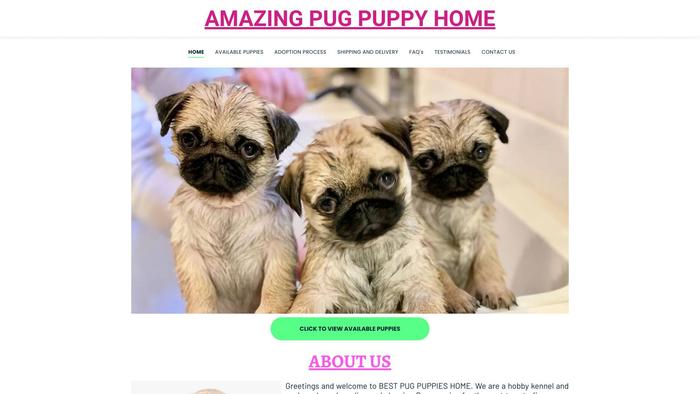 Amazingpugpuppyhome.com - Pug Puppy Scam Review