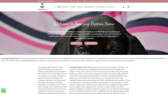 Amazingpuppieshome.com - Dachshund Puppy Scam Review