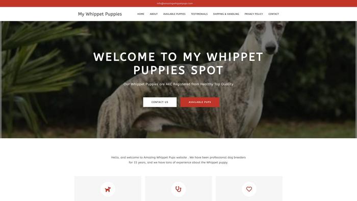 Amazingwhippetpups.com - Whippet Puppy Scam Review