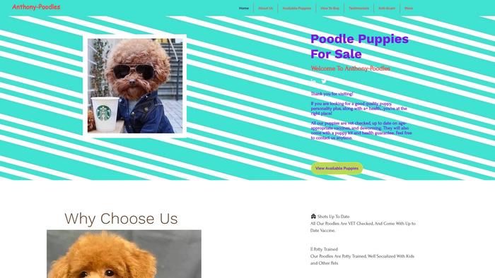 Anthony-poodles.com - Poodle Puppy Scam Review