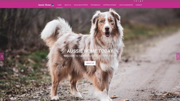 Aussiehomestoday.com - Australian Shepherd Puppy Scam Review