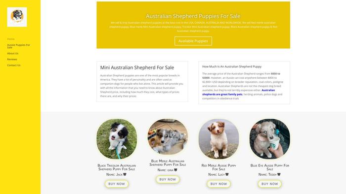 Aussiepupiesforsale.com - Australian Shepherd Puppy Scam Review