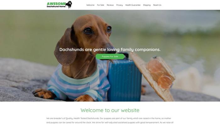 Awesomedachshundhome.com - Dachshund Puppy Scam Review