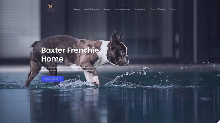 Baxtersfrenchiepuppies.com - French Bulldog Puppy Scam Review