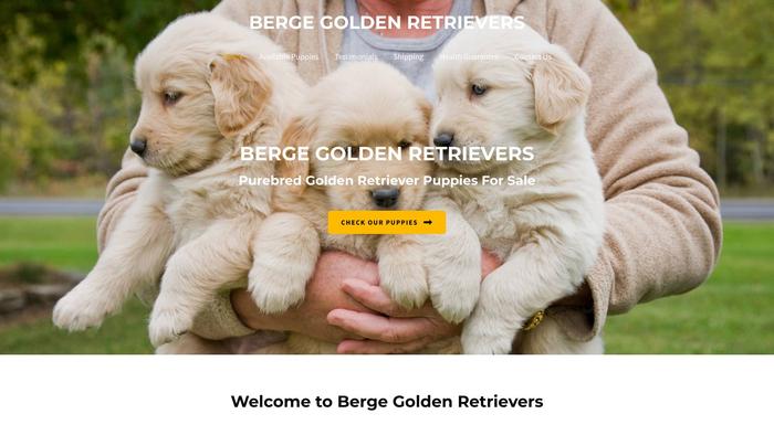 Bergegoldenretrievers.com - Golden Retriever Puppy Scam Review