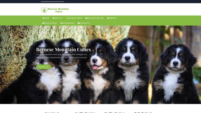 Bernesemountaincuties.com - Bernese Mountain Dog Puppy Scam Review