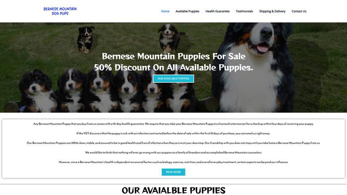 Bernesemountaindogpups.com - Bernese Mountain Dog Puppy Scam Review