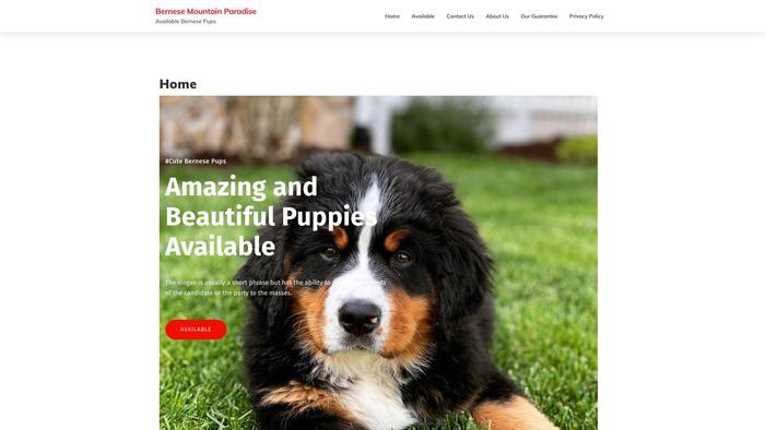 Bernesemountainparadise.com - Bernese Mountain Dog Puppy Scam Review