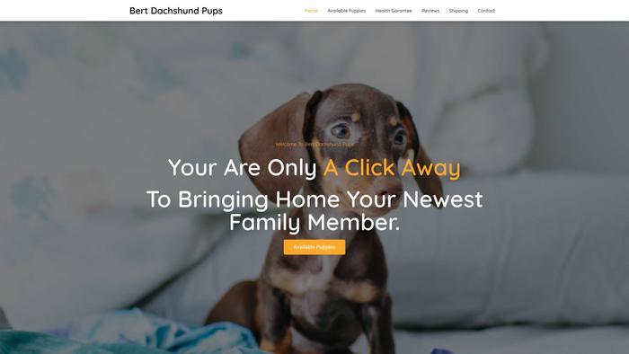 Bertdachshundpups.com - Dachshund Puppy Scam Review