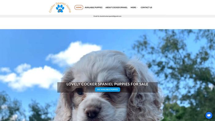 Bestcockerspaniel.com - Cockerspaniel Puppy Scam Review