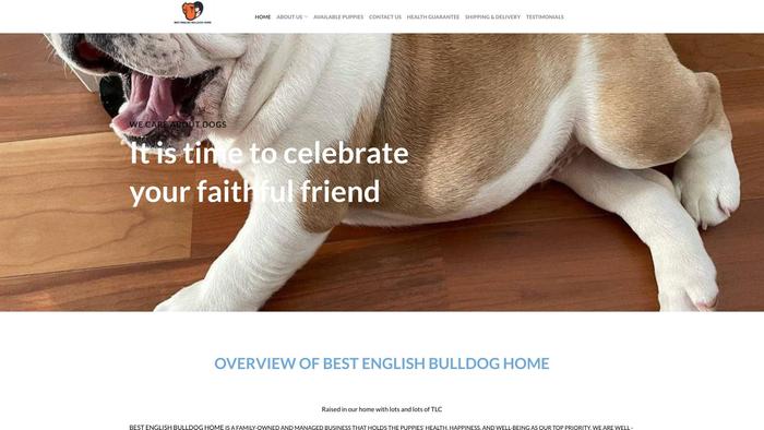 Bestenglishbulldoghome.com - English Bulldog Puppy Scam Review