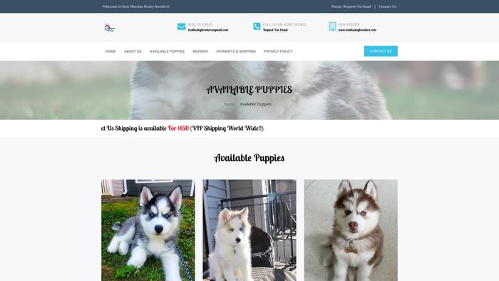 Besthuskybreeders.com - Husky Puppy Scam Review