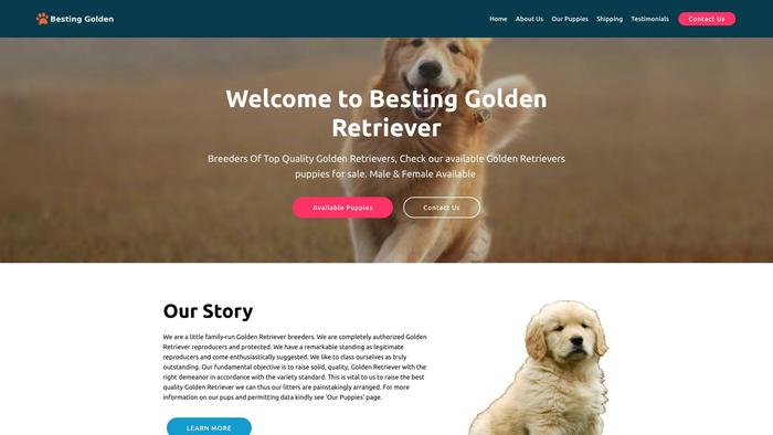 Bestinggoldens.com - Golden Doodle Puppy Scam Review