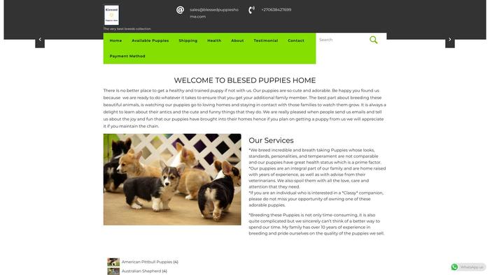 Blessedpuppieshome.com - Australian Shepherd Puppy Scam Review