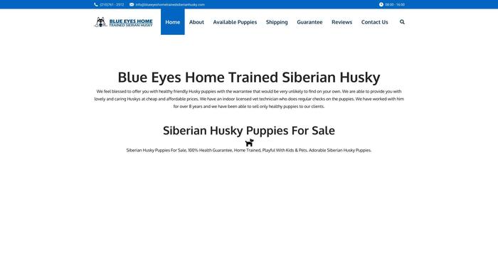 Blueeyeshometrainedsiberianhusky.com - Husky Puppy Scam Review