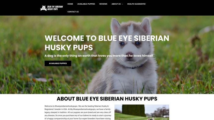 Blueeyesiberianhuskypups.com - Husky Puppy Scam Review