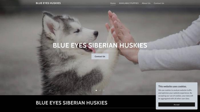 Blueeyssiberianpuppies.com - Husky Puppy Scam Review