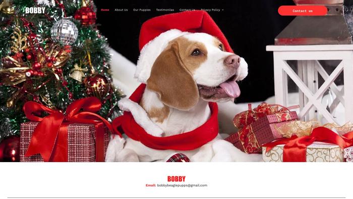 Bobbysbeaglepuppies.com - Beagle Puppy Scam Review