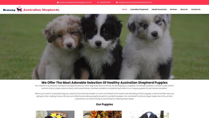 Brawnyaustralianshepherds.com - Germanshepherd Puppy Scam Review