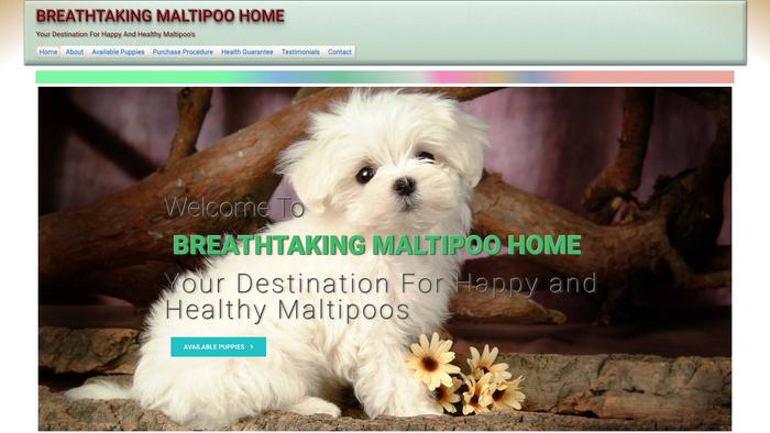 Breathtakingmaltipoohome.com - Maltipoo Puppy Scam Review